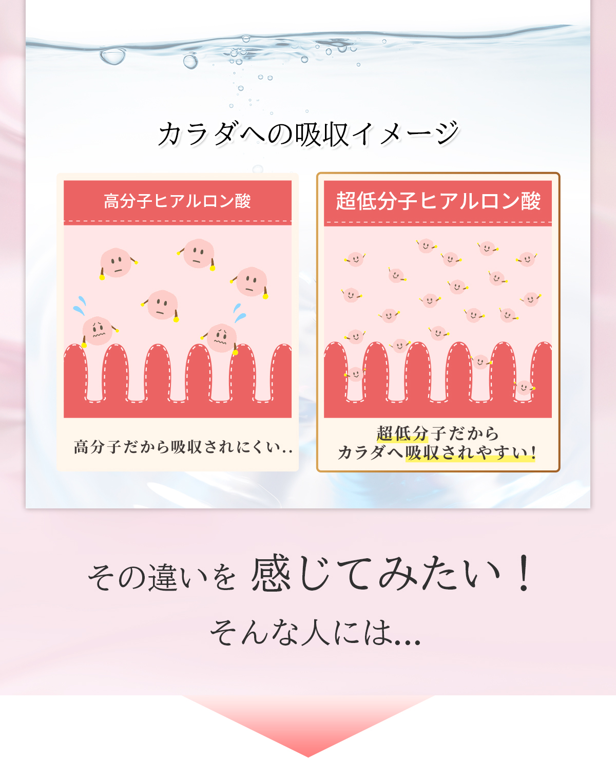 カラダへの吸収イメージ